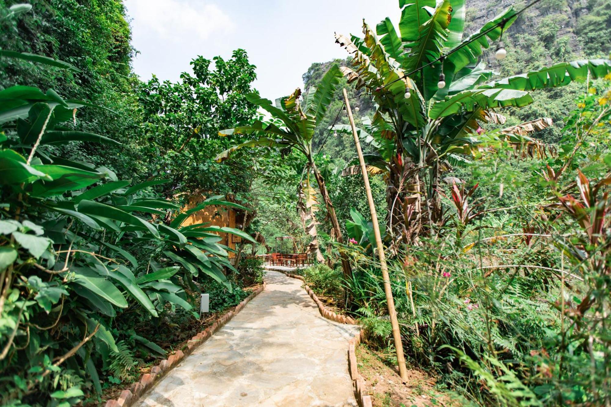 Thung Sen Tam Coc Chalets Ninh Binh Exteriér fotografie